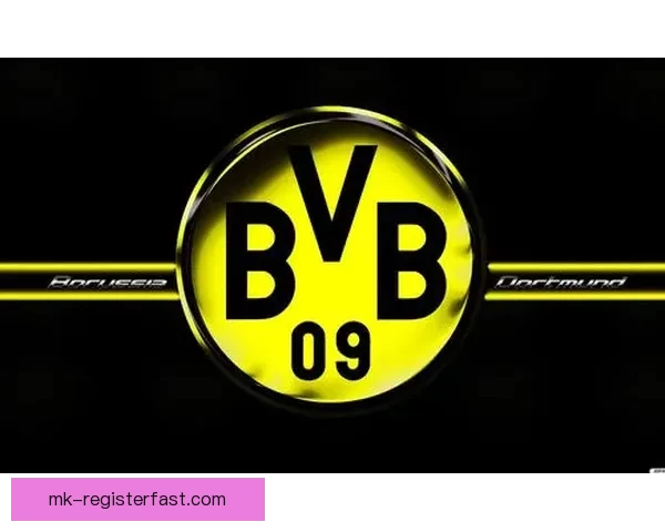 世界杯竞猜盘口预测分析与投注策略全解，助你轻松赢取精彩大奖