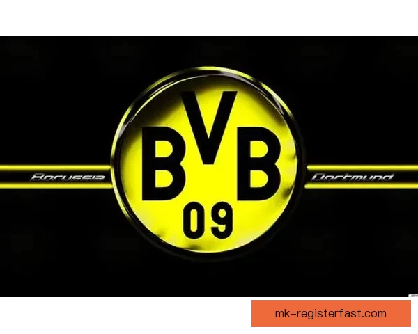 世界杯竞猜盘口预测分析与投注策略全解，助你轻松赢取精彩大奖